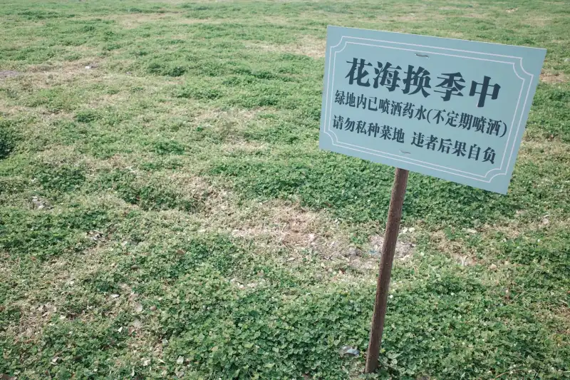 汽车配件选型指南：从车型参数到配件匹配的精准方案