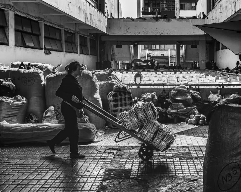 汽车配件选购指南：汽修厂常用保养用品型号匹配方案正文配图 1